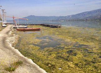 Το Αιτωλικό όζει !