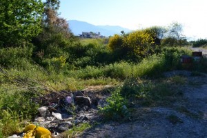 Ερμίτσα καθαρισμός (2)