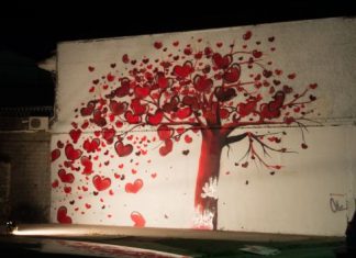 Saltsinistas : Το δέντρο της αγάπης μεγάλωσε!