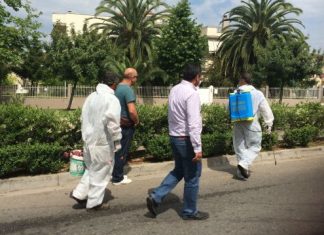 Περί ξυσίματος…