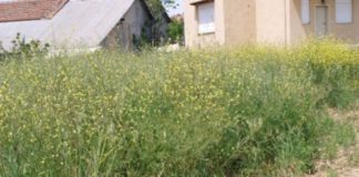 Δήμος Αγρινίου: Οι ιδιοκτήτες να προβούν σε καθαρισμούς οικοπέδων – ακαλύπτων