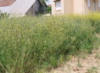 Δήμος Ι.Π. Μεσολογγίου: Οι ιδιοκτήτες να καθαρίσουν τα οικόπεδά τους