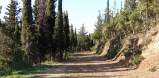 Ξεκίνησαν εργασίες αντιπυρικής προστασίας σε δασύλλια και περιαστικά δάση της Αιτωλοακαρνανίας