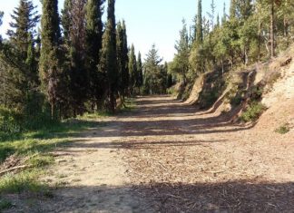 Μικροεστίες φωτιάς στο δασύλλιο του Αγίου Χριστοφόρου και υποψίες για εμπρηστικές ενέργειες