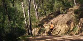 Αιτωλοακαρνανία : Πολύ υψηλός κίνδυνος πυρκαγιάς – Απαγόρευση κυκλοφορίας σε δασύλλια και άλση