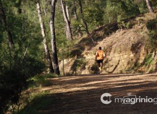 Αιτωλοακαρνανία : Πολύ υψηλός κίνδυνος πυρκαγιάς – Απαγόρευση κυκλοφορίας σε δασύλλια και άλση