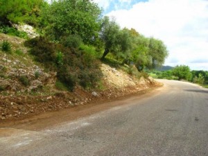 επαρχιακό δίκτυο