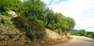 Σύμβαση για εργασίες στο επαρχιακό οδικό δίκτυο της ορεινής Ναυπακτίας