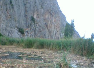 Mπάζωσαν υγρότοπο στο Κρυονέρι