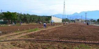 Από Δευτέρα οι αιτήσεις για παραχώρηση κηποτεμαχίου στον Δημοτικό Λαχανόκηπο Αγρινίου