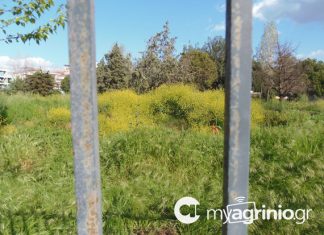 Προς διάλυση η εργολαβία για την ανάπλαση του Πάρκου