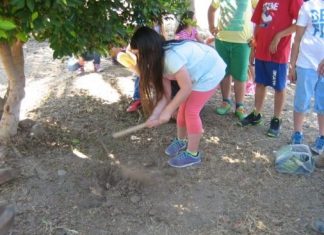 Περιβαλλοντική δράση στο 2ο δημοτικό σχολείο Μεσολογγίου