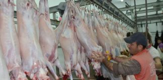 Δυτική Ελλάδα : Κατασχέθηκαν σφάγια χωρίς σήμανση από τις κτηνιατρικές υπηρεσίες