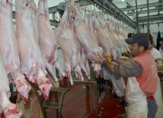 Δυτική Ελλάδα : Κατασχέθηκαν σφάγια χωρίς σήμανση από τις κτηνιατρικές υπηρεσίες