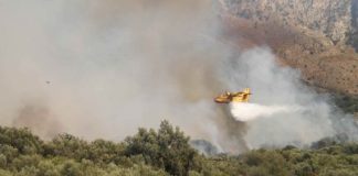 Πυρκαγιά σε δασική έκταση στον Αστακό