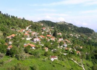 Τρεις δραστηριότητες στον Δρυμώνα Τριχωνίδας