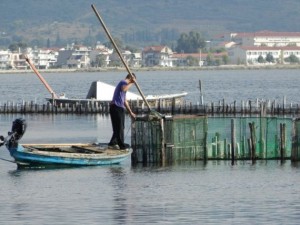 λιμνοθάλασσα αλιεία