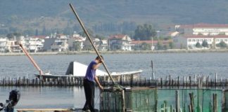 Ερώτηση Κωνσταντόπουλου για τα προβλήματα αλιέων της Αιτωλοακαρνανίας