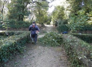 Εργασίες στο Πάρκο για να γίνει ξανά επισκέψιμο