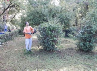 Πόρισμα για το Πάρκο από το Σώμα Επιθεωρητών Δημοσίων Έργων