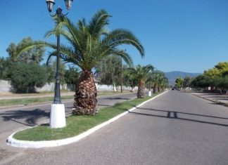 Παρεμβάσεις καθαριότητας στην περιοχή της περιμετρικής του Μεσολογγίου
