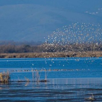 Αμφιλοχία Αμβρακικός με φόντο τον Βάλτο