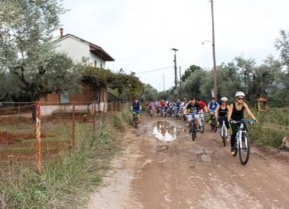 Πρόσκοποι Αγρινίου : Το αίτημα κατασκευής ποδηλατοδρόμου στο Αγρίνιο παραμένει