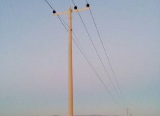 Ηλεκτροπληξία για απειλούμενα είδη πουλιών στον διεθνούς σημασίας υγρότοπο Μεσολογγίου