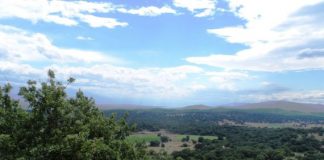 Εκδήλωση του ΤΕΕ Αιτωλοακαρνανίας για την ανάρτηση του Δασικού Χάρτη