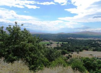 Εκδήλωση του ΤΕΕ Αιτωλοακαρνανίας για την ανάρτηση του Δασικού Χάρτη