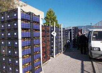 Δράσεις του Κοινωνικού Παντοπωλείου του Δήμου Μεσολογγίου