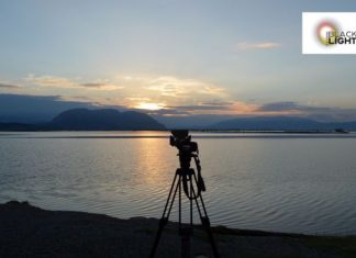 Nτοκιμαντέρ στο Εθνικό Πάρκο της λιμνοθάλασσας Μεσολογγίου – Αιτωλικού