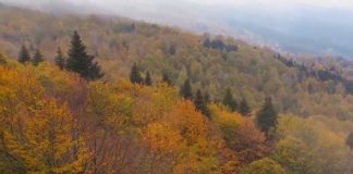 «Όλοι Μαζί Μπορούμε» στη Γραμμένη Οξυά