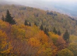 Αποκεντρωμένη Διοίκηση : Ολοκληρώθηκε η διαδικασία κατάρτισης – αναμόρφωσης των δασικών χαρτών