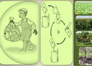 Hμερίδα για τα φυτοπροστατευτικά προϊόντα στο Αγρίνιο