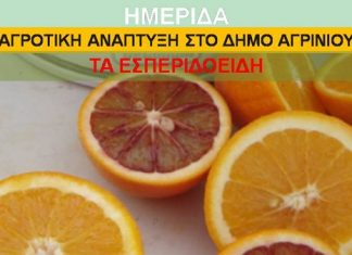 1η Γιορτή Εσπεριδοειδών στην Παντάνασσα