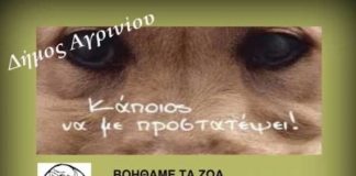 Tις υποχρεώσεις των ζώων συντροφιάς υπενθυμίζει ο Δήμος Αγρινίου