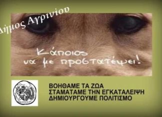 Εκδήλωση στο Αγρίνιο με θέμα τα αδέσποτα ζώα
