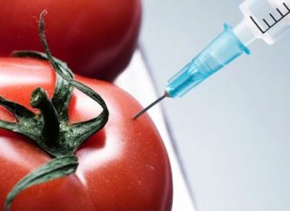 Ημερίδα στο Αγρίνιο με θέμα : «Γενετικά τροποποιημένοι Οργανισμοί και Διατροφή»