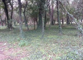 Ο μοναδικός “πνεύμονας” πρέπει κάποια στιγμή να έχει την περιποιήση που του αξίζει