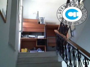 αναπτυξιακή