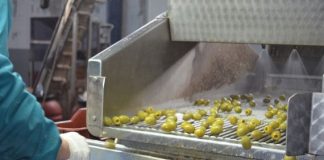 Κωδικοποίηση των μέτρων προφύλαξης για τον κορωνοϊό των εργαζομένων σε εγκαταστάσεις παραγωγής τροφίμων