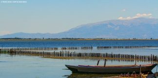 «Μια Έξοδος στο αλωνάκι της βιοποικιλότητας του Εθνικού Πάρκου Μεσολογγίου»