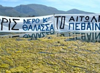 Βενετία του φυτοπλαγκτού