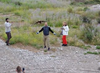 Απελευθέρωσαν άγρια είδη ορνιθοπανίδας στο Εθνικό Πάρκο λιμνοθαλασσών Μεσολογγίου – Αιτωλικού