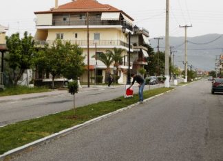 Δενδροφύτευση στο Μεσολόγγι