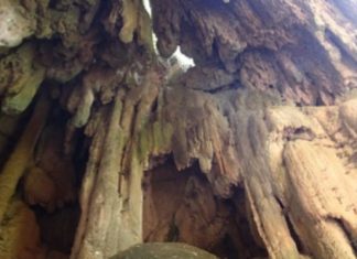 To «Σπήλαιο Νεράιδα» και ο Καταρράκτης Σεπετός στο Μοναστηράκι Ακτίου Βόνιτσας