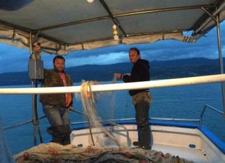 Γάμπαρες: Ψάρεμα στον Αμβρακικό κόλπο