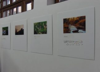 «Χίλιες και μία όψεις του τόπου μας» μέσα από τα μάτια των φοιτητών