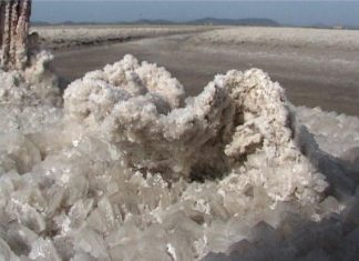 Η κρυστάλλινη πολιτεία των αλυκών Μεσολογγίου